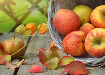 Apfel Kalorien, Kohlenhydrate & Zucker | Alle Nährwerte – sind Äpfel gesund?